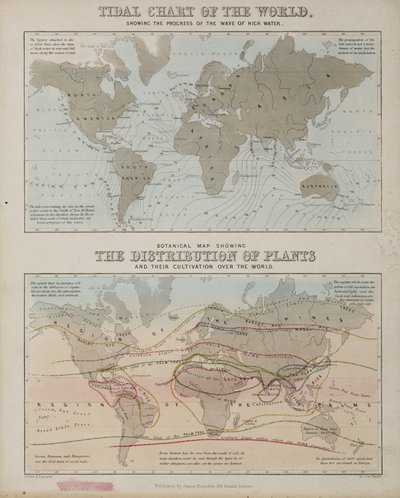 Una carta delle maree e una mappa della distribuzione delle piante nel mondo, c. 1850 da John Pardon