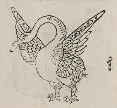 La costellazione del Cigno da John Pardon
