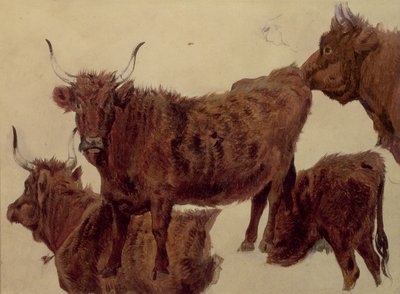 Studi di Bovini delle Highlands da Richard Ansdell