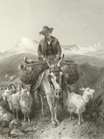 Il capraio di Granada da Richard Ansdell
