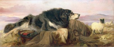 Il cane del pastore da Richard Ansdell