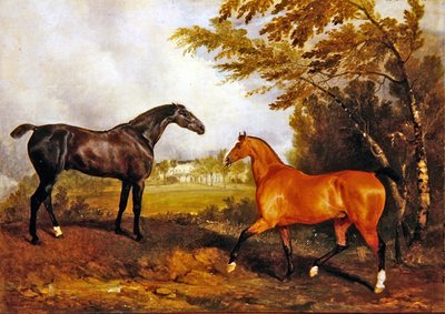 Scena equestre da Richard Barrett Davis