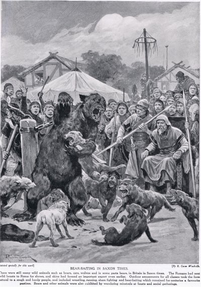 Combattimento di orsi in tempi sassoni, da 