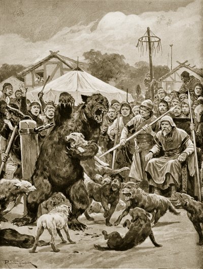 Combattimento di orsi in tempi sassoni, illustrazione da 