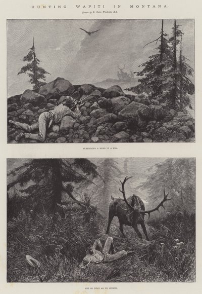 Caccia al Wapiti in Montana da Richard Caton Woodville junior