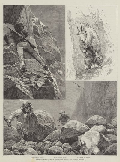 Caccia ai caprioli nelle Montagne Rocciose, Nord America da Richard Caton Woodville junior