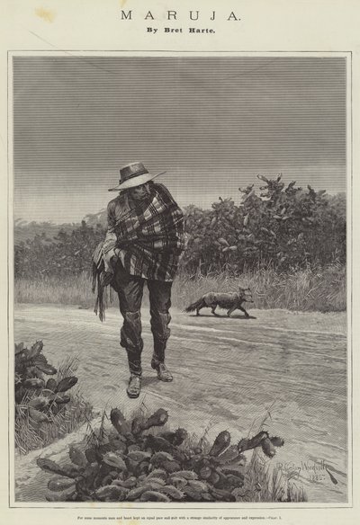 Maruja, di Bret Harte da Richard Caton Woodville junior