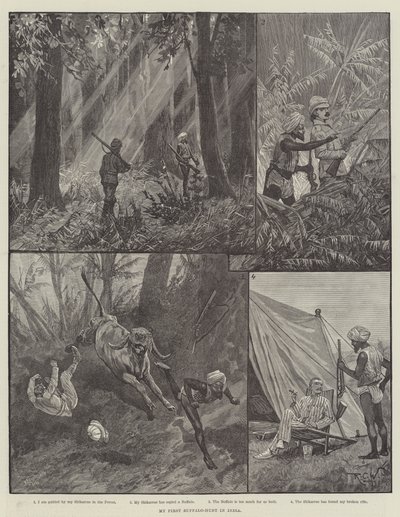 La mia prima caccia al bufalo in India da Richard Caton Woodville junior