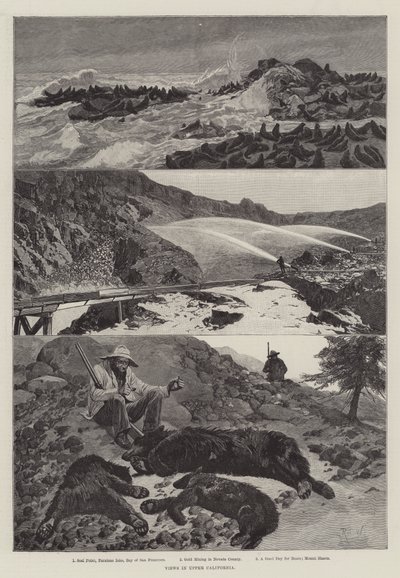 Vedute dell