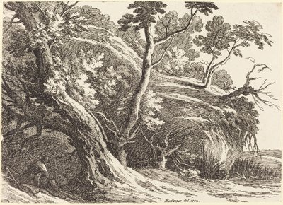 Paesaggio con Grandi Alberi da Richard Cooper II