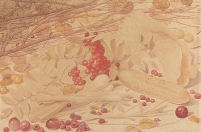 Natura morta con uva spina, lamponi, ribes rosso, cipollotti, un cetriolino e fogliame da Richard Dadd