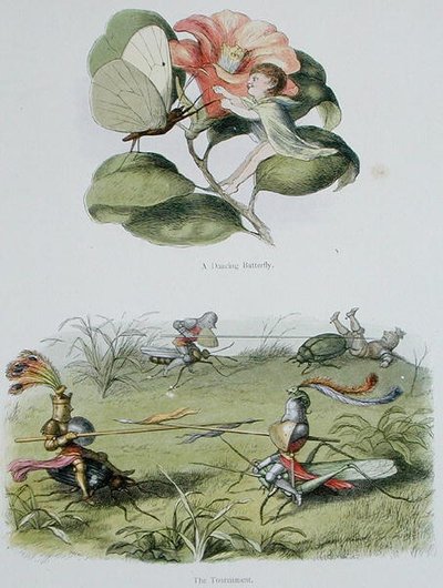 Una farfalla danzante e Il torneo, illustrazioni da 