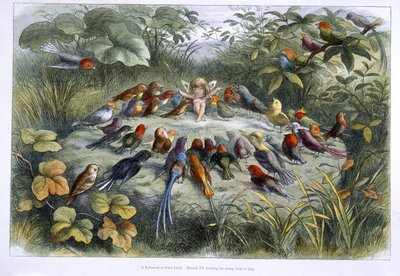 Un elfo e uccelli da Richard Doyle