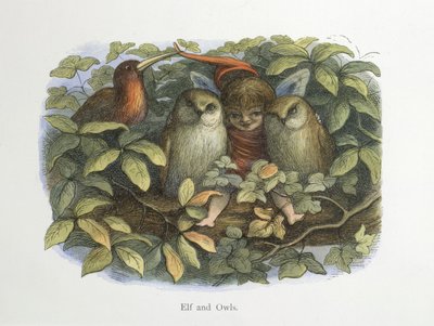 Elfo e gufi da Richard Doyle