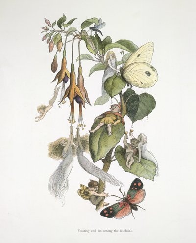 Festa e divertimento tra le fucsie da Richard Doyle