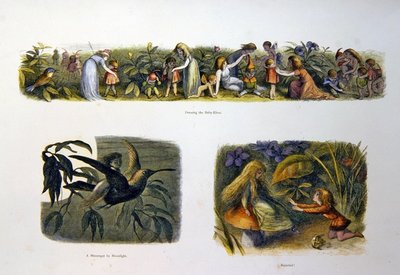 Nel paese delle fate da Richard Doyle