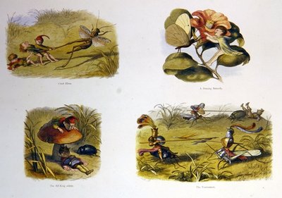 Nel Paese delle Fate da Richard Doyle