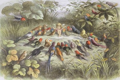 Prova musicale nel paese delle fate (Illustrazione da "Nel paese delle fate. Immagini dal mondo delle fate", di William Allingham e Andrew Lang) da Richard Doyle