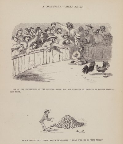Pagina dal Tour americano dei signori Brown, Jones e Robinson da Richard Doyle