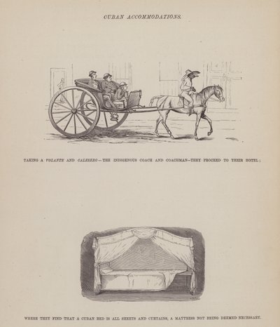 Pagina da Il tour americano dei signori Brown, Jones e Robinson da Richard Doyle