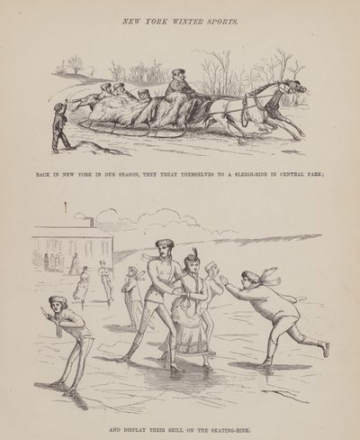 Pagina da Il tour americano dei signori Brown, Jones e Robinson da Richard Doyle