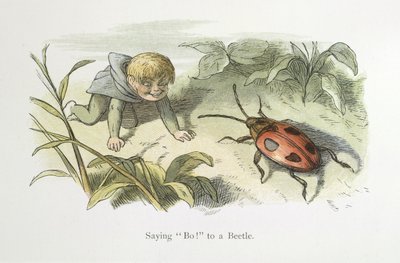 Dire Bo! a uno scarafaggio da Richard Doyle