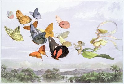 La carrozza della regina delle fate, c1870 da Richard Doyle
