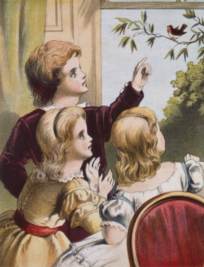 Il pettirosso amichevole da Richard Doyle