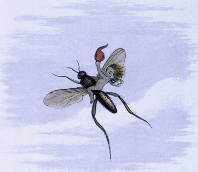 Un elfo sul dorso di un insetto. Illustrazione di Richard Doyle tratta da 