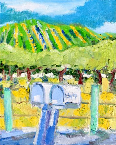 Cassette postali e vigneto, Napa da Richard Fox