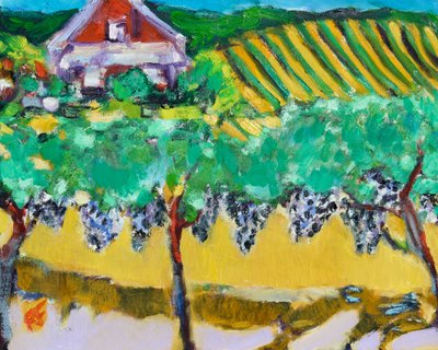 Uva Merlot, Napa, 2017 da Richard Fox