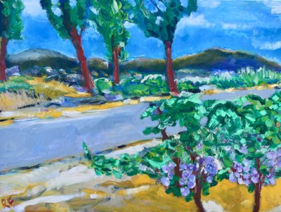 Vigneto lungo la strada, Napa da Richard Fox