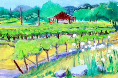 Vigneto su Zinfandel Lane, Napa, 2019 da Richard Fox
