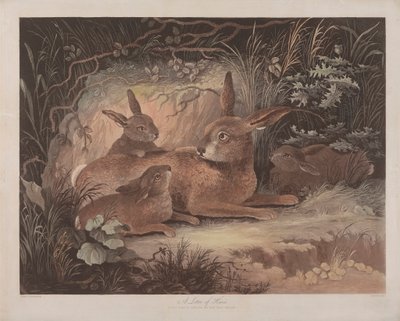 Set di quattro: (3) Una cucciolata di lepri da Richard Gilson Reeve