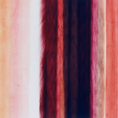 Striscia X, 2005 da Richard Green