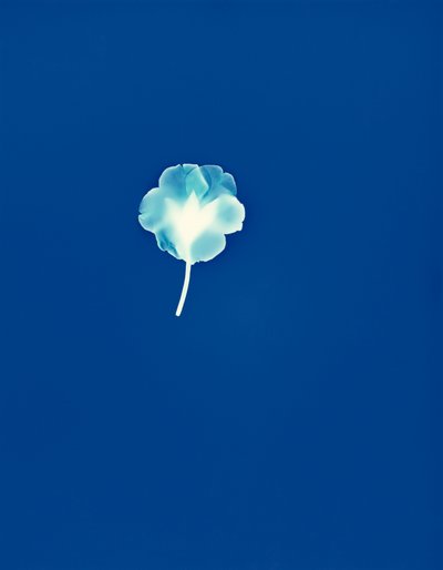 Senza titolo, 2002 da Richard Green