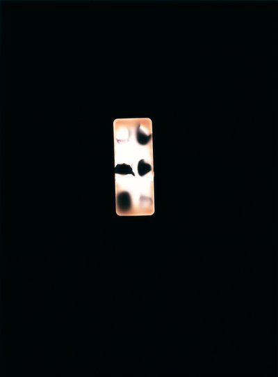 Senza titolo da Richard Green