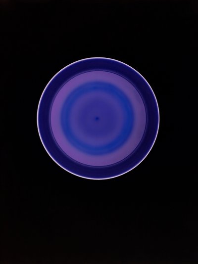 Senza titolo, 2004 da Richard Green