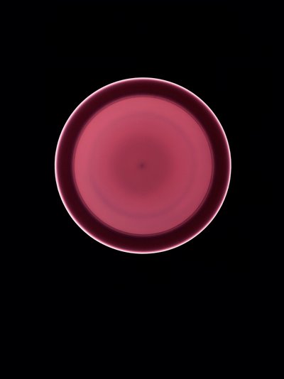 Senza titolo, 2004 da Richard Green