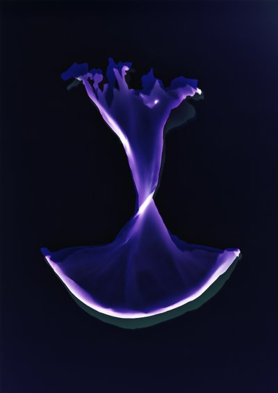 Senza titolo, 2004 da Richard Green