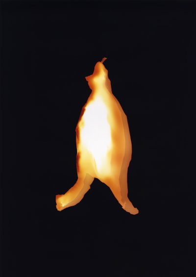Senza titolo, 2004 da Richard Green