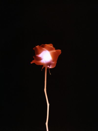 Senza titolo, 2007 da Richard Green