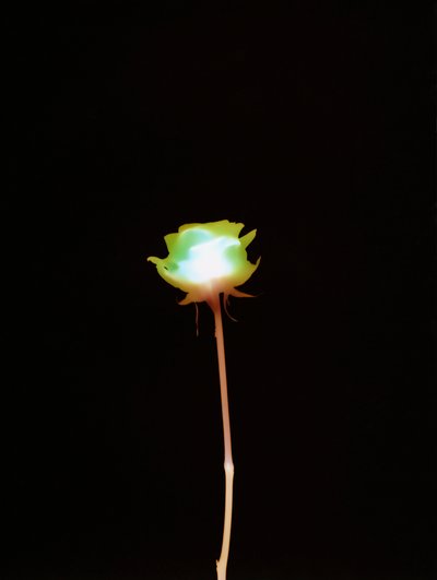 Senza titolo, 2007 da Richard Green