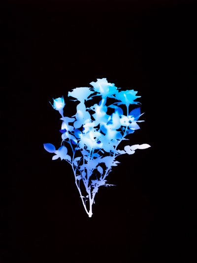 Senza titolo, 2008 da Richard Green