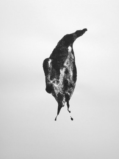 Senza titolo, 2009 (monotipo) da Richard Green