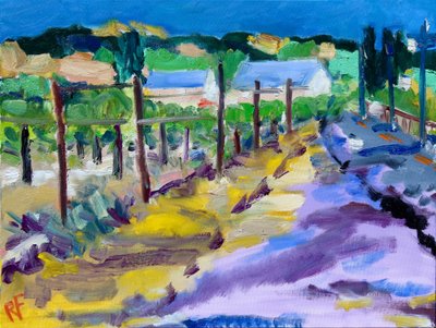 Vigneto fuori Santa Rosa, 2021 da Richard H. Fox