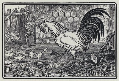 Il Gallo e La Perla da Richard Heighway