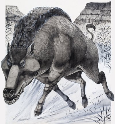 Daeodon (guazzo su carta) da Richard Hook