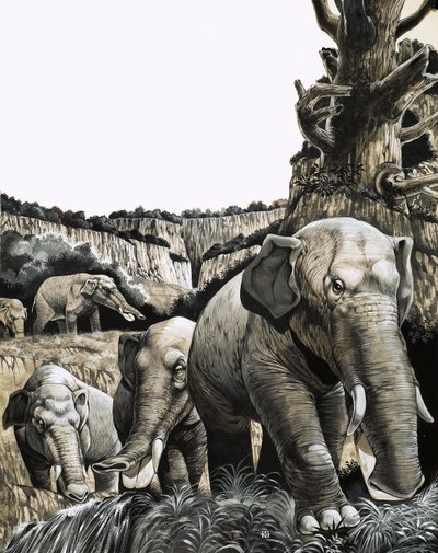 Lo strano Amebelodon da Richard Hook