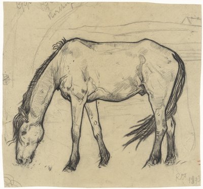 Cavallo al pascolo a Noordwijk da Richard Nicolaüs Roland Holst